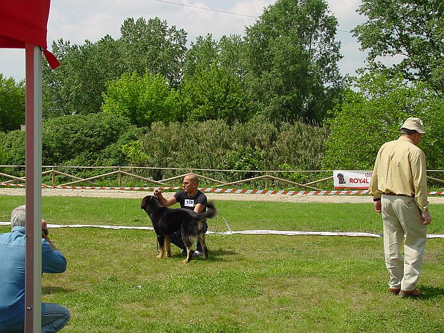 Immagine 069.jpg